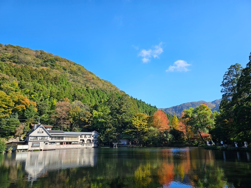 迷人的景色 值得你前往 由布院 走春