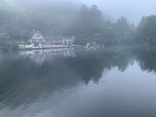 20250820-0826金陵湖晨霧之美