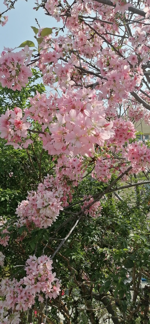 南平公園附近的密境