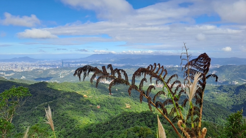 二格山之景-走出春之美