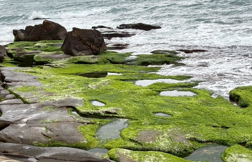 年初一走春神秘海岸