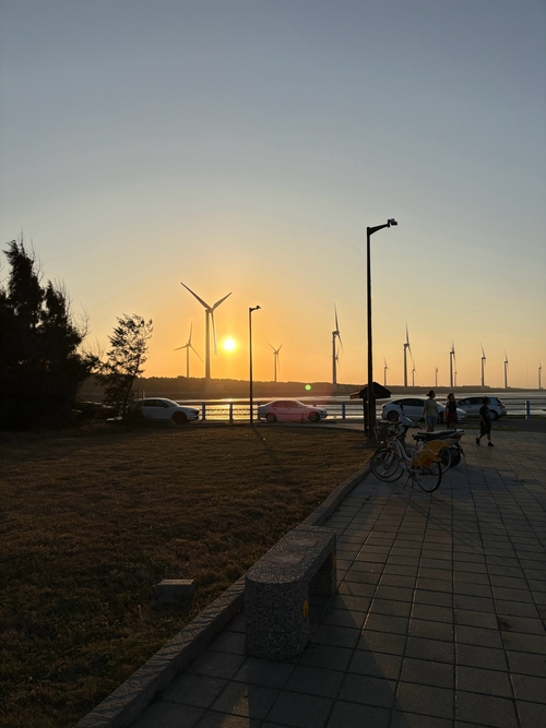 高美濕地夕陽