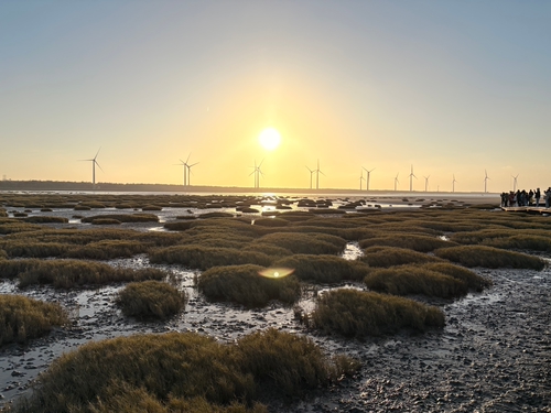 台中高美濕地黃昏美景