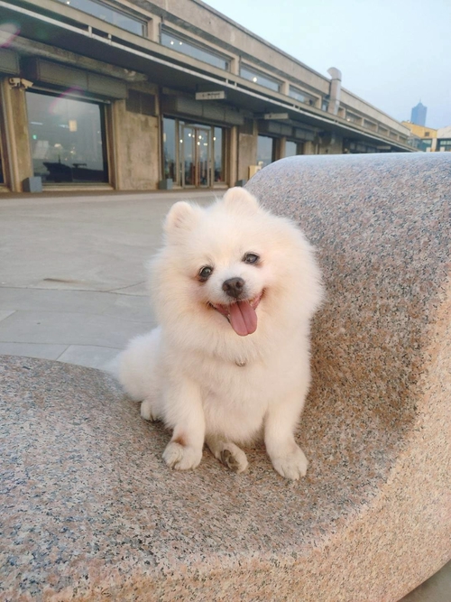 清爽海風吹拂的喜悅