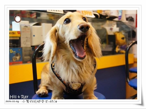 我想對「在天堂的你說」