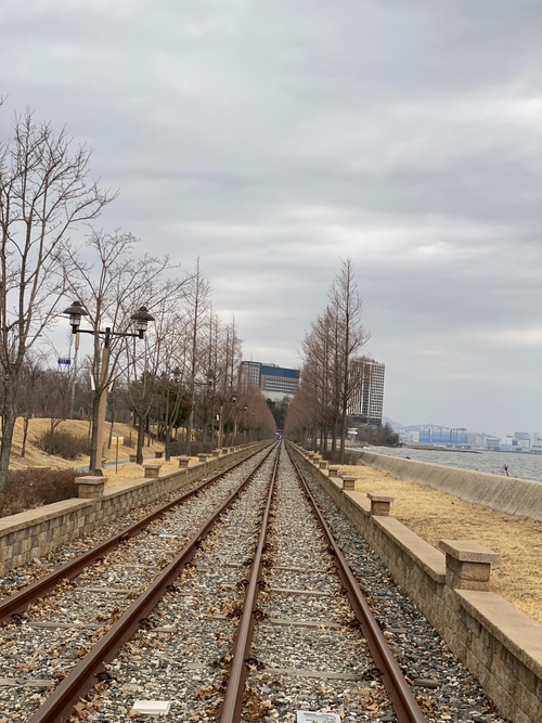 한국之旅