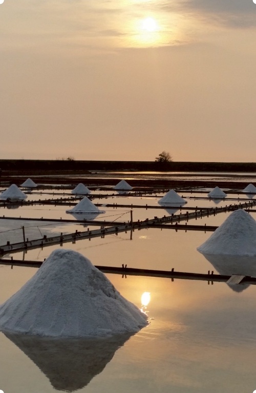 夕陽下的鹽田之美