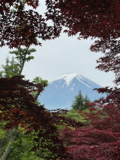 說走就走的旅行