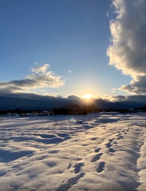 丹麥的賞雪秘境，一片白茫茫雪地上溫暖太陽