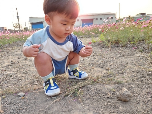 花與男孩