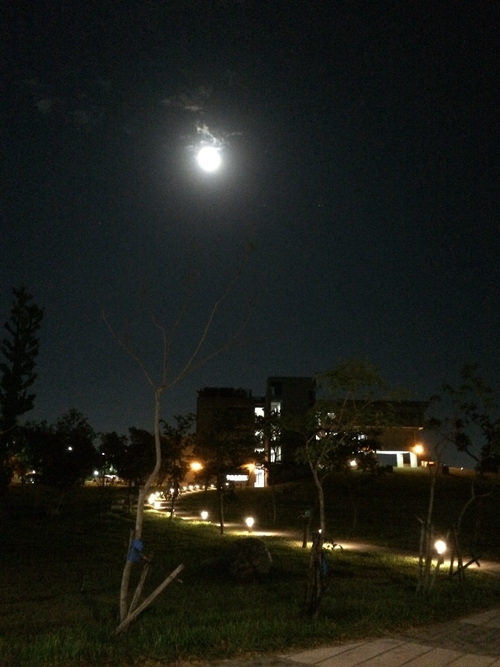 月🌕