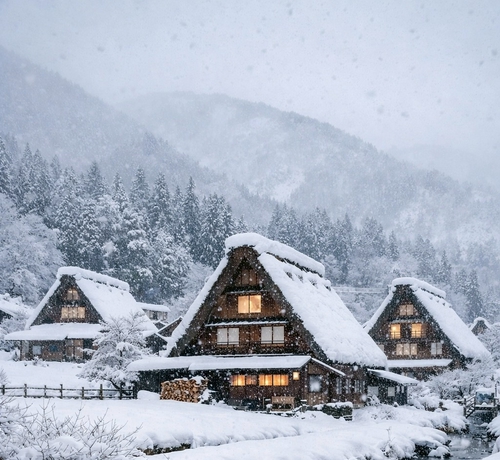 冬日雪景❄️
