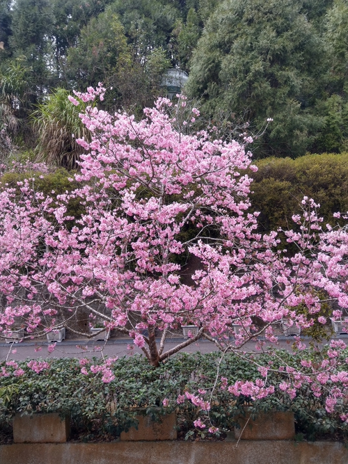 我想對妮說~
雖然妮永遠都不會知道了..
