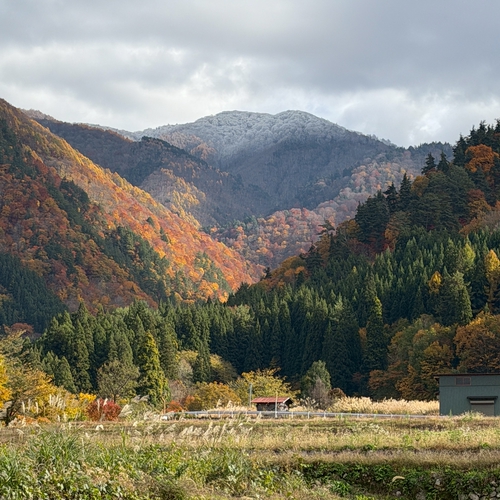 楓之合掌村