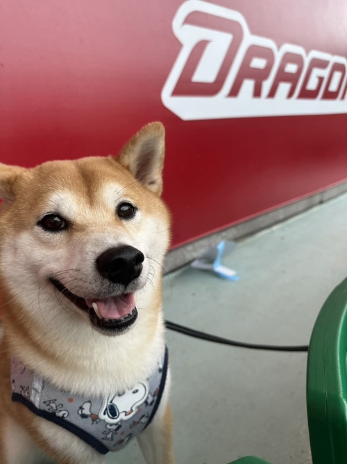 天母棒球場