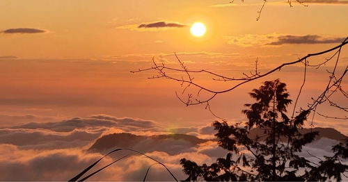 雲海