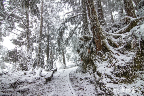 太平山雪景