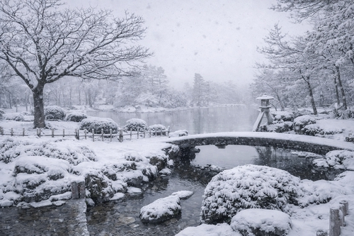冬季雪景❄️
