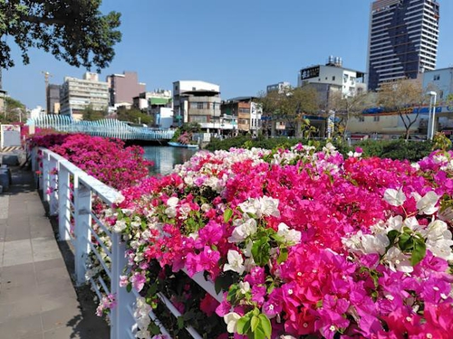 午後盛開的城市