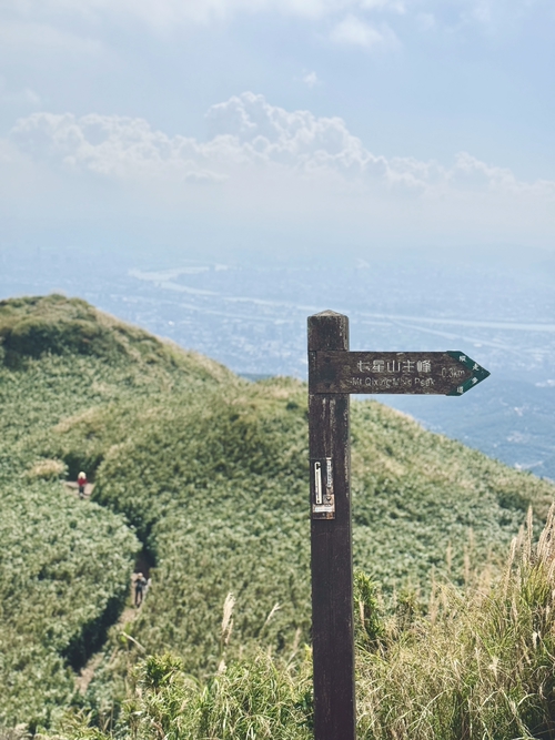 陽明山冷水坑芒草季
