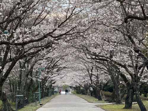 土佐山田町鏡野公園