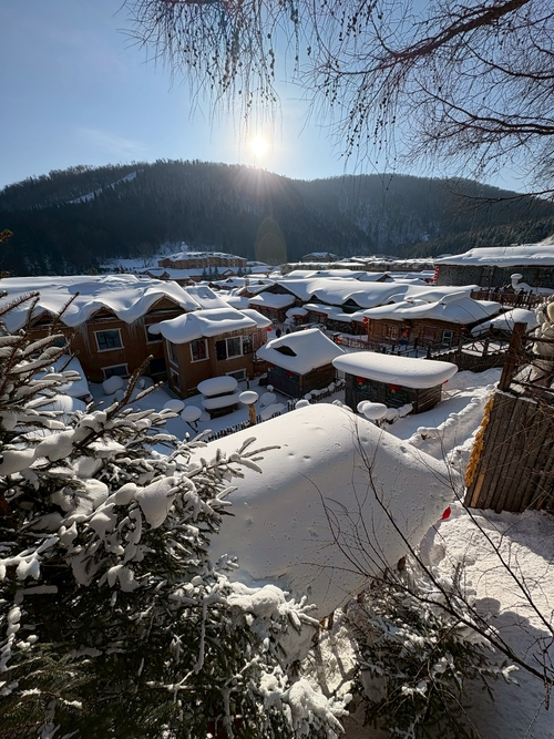 雪蘑菇