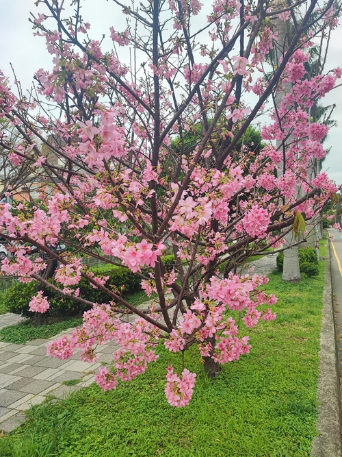 這不是祕境