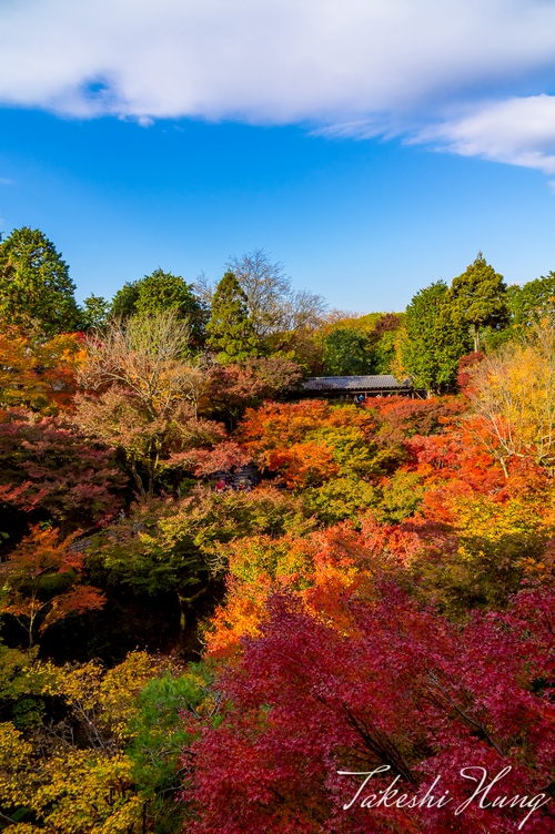 東福寺通天橋