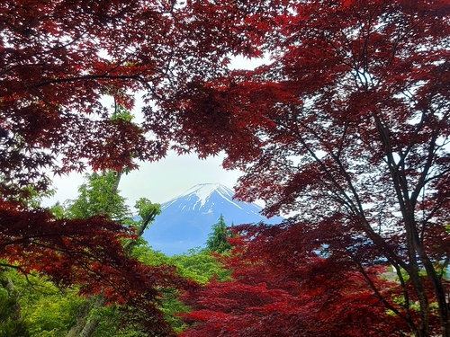 全家快樂遊 日本旅遊
