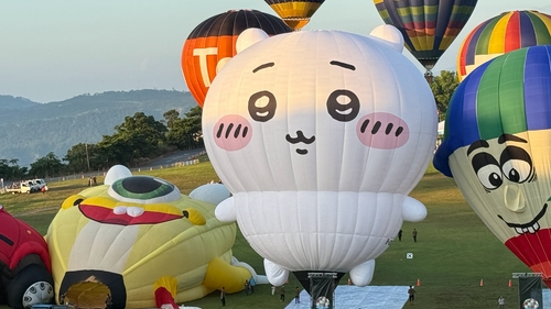 鹿野熱氣球