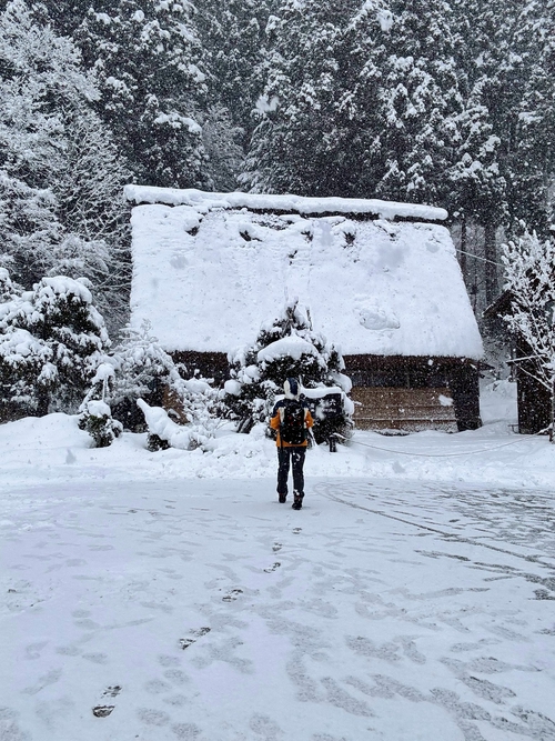 冬季賞雪美照