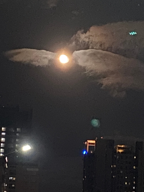 想飛的月亮