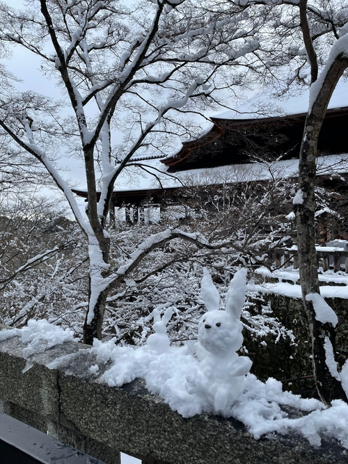 雪兔與雪清水
