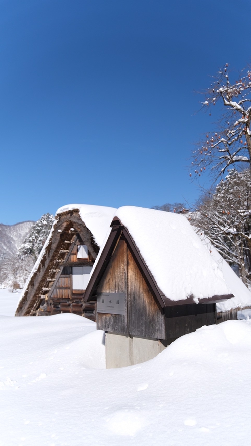 名古屋白川鄉積雪