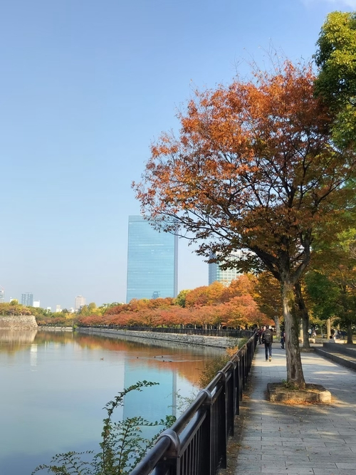 賞楓密境美照之大阪城公園