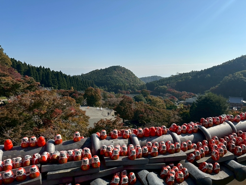 勝尾寺楓葉