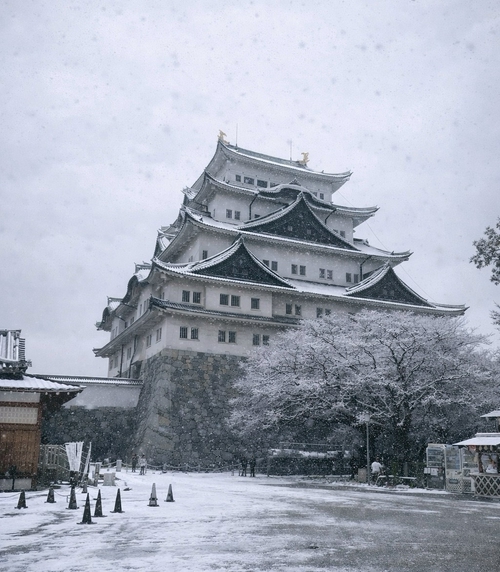 冬日雪景