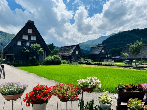 夏日和風。日影。合掌村