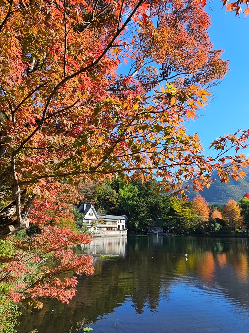 迷人的景色 值得你前往 由布院 走春