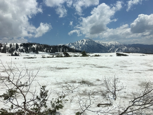 車外雪景
