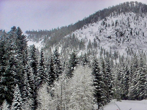 雪山美景入廉