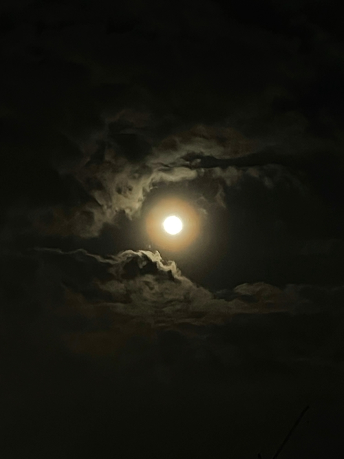 眾雲拱月