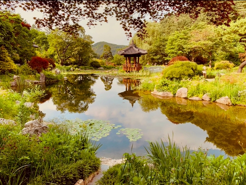 雲話的月光
走春的好景色