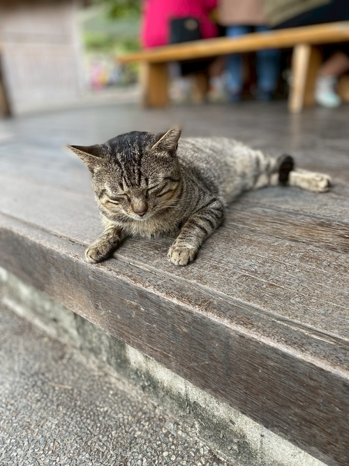 休憩