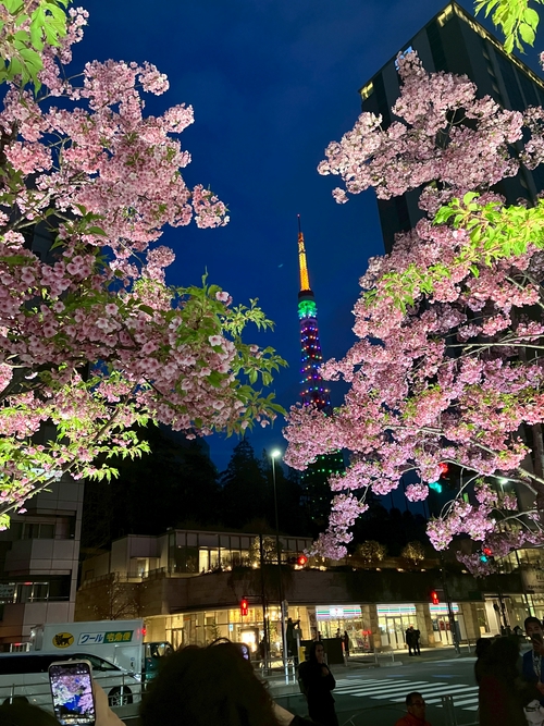櫻花下的東京鐵塔