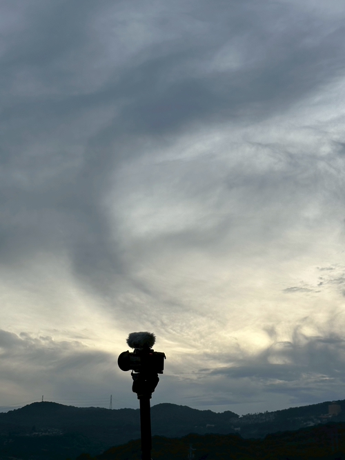 REC：等待一場天光