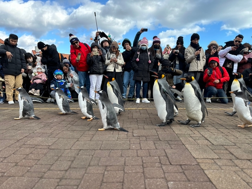 北海道旭山動物園