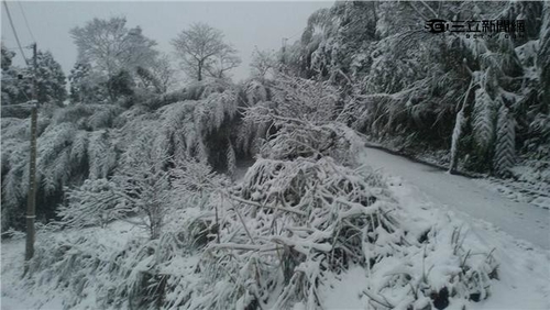~~ 2016寒流，拉拉山罕見積雪…~~