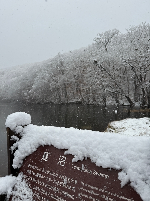 蔦沼初雪