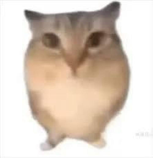 巴巴博一
